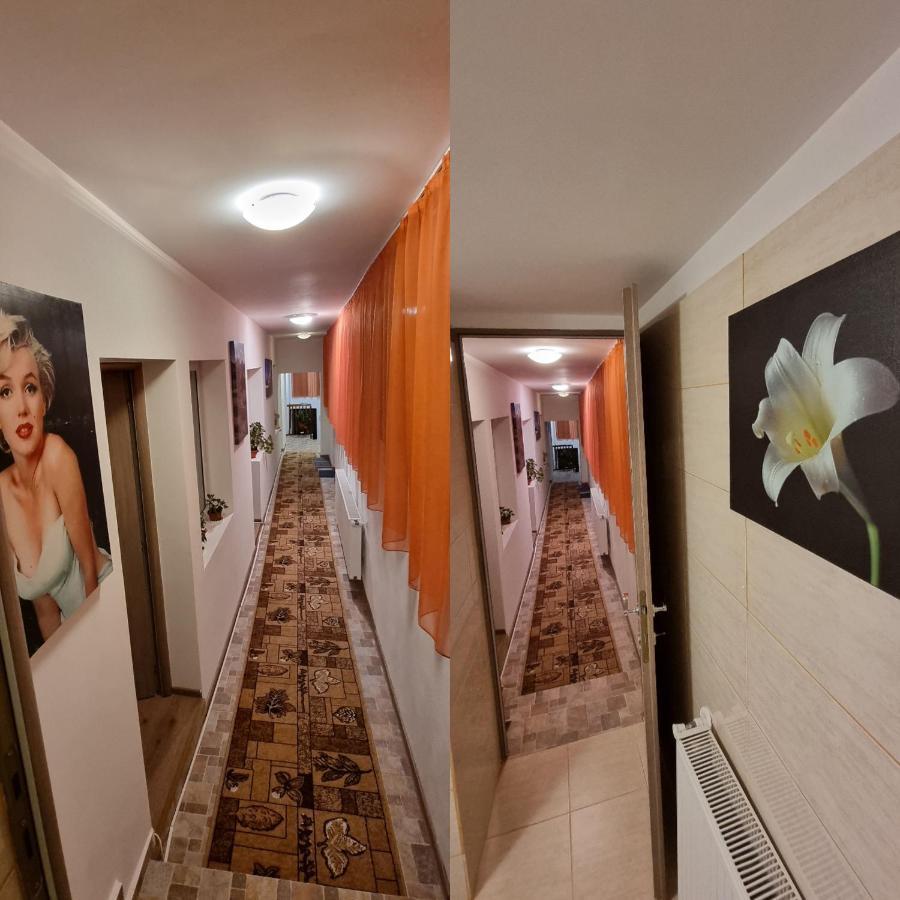 Vila Roca House Brašov Exteriér fotografie