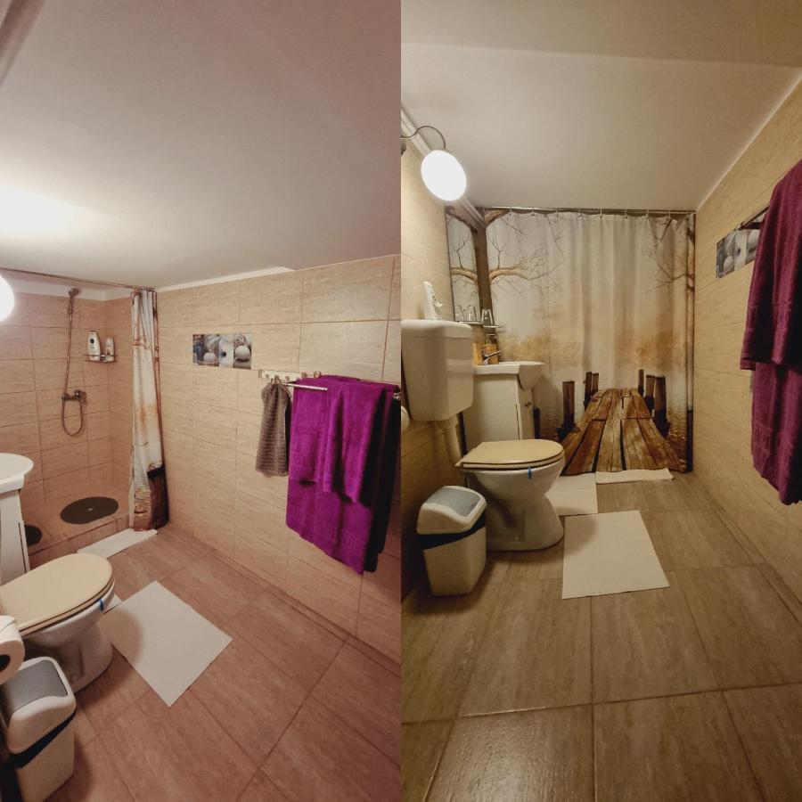 Vila Roca House Brašov Exteriér fotografie