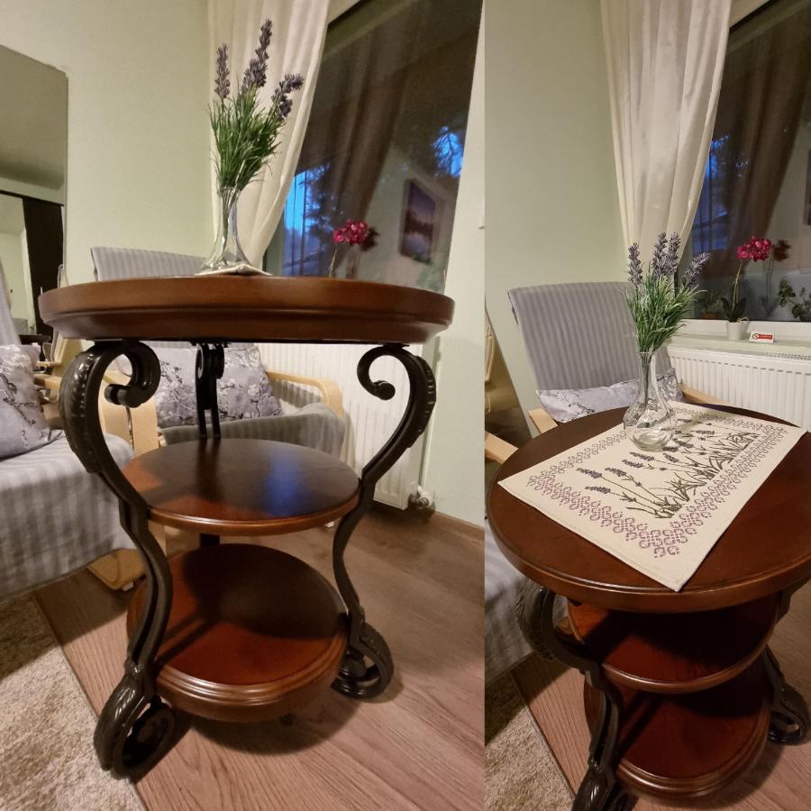 Vila Roca House Brašov Exteriér fotografie