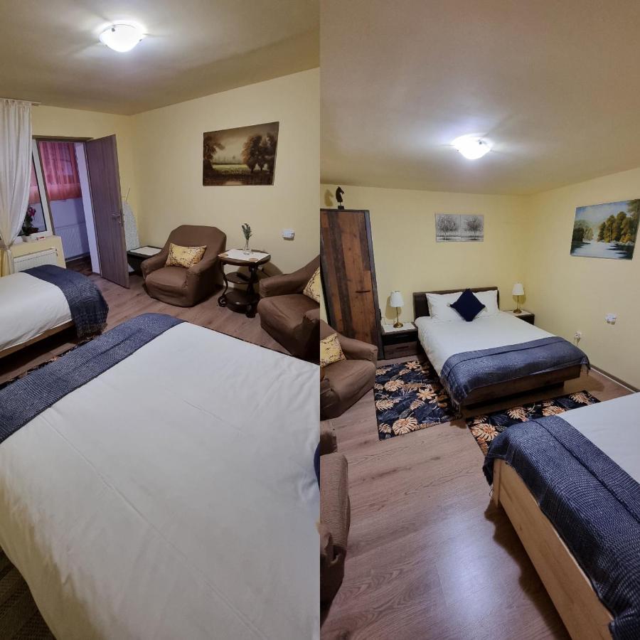 Vila Roca House Brašov Exteriér fotografie