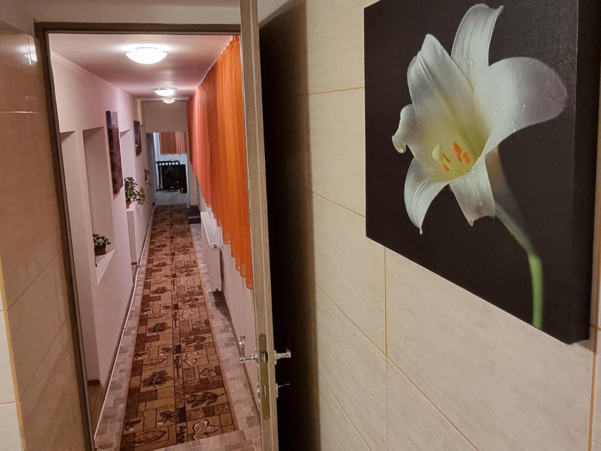 Vila Roca House Brašov Exteriér fotografie