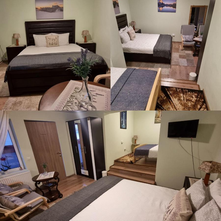 Vila Roca House Brašov Exteriér fotografie